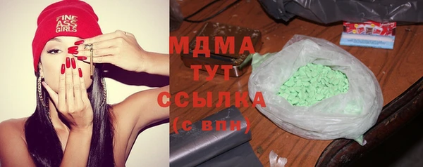 ПСИЛОЦИБИНОВЫЕ ГРИБЫ Дмитриев