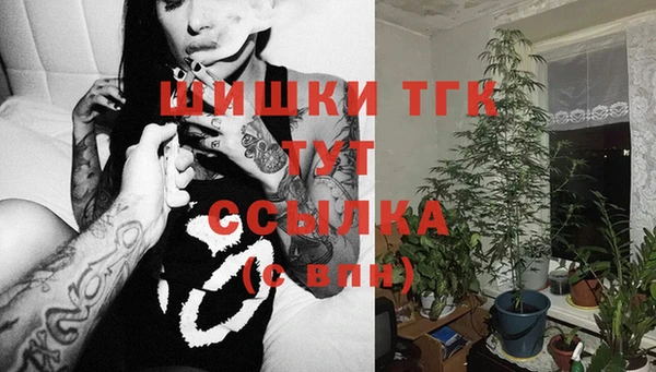 эйфоретик Дмитров