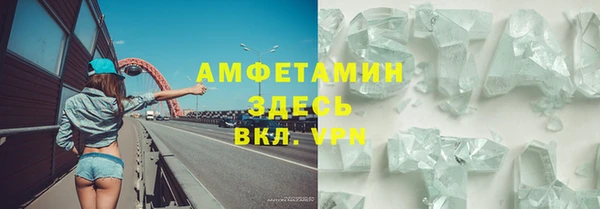 ПСИЛОЦИБИНОВЫЕ ГРИБЫ Дмитриев