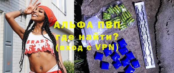 ПСИЛОЦИБИНОВЫЕ ГРИБЫ Дмитриев