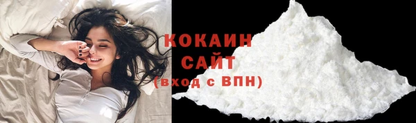 ПСИЛОЦИБИНОВЫЕ ГРИБЫ Дмитриев