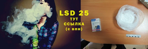ПСИЛОЦИБИНОВЫЕ ГРИБЫ Дмитриев