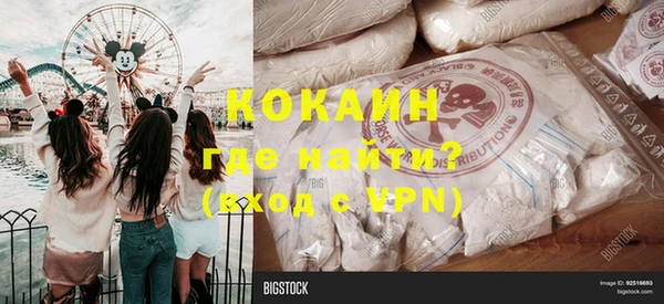 ПСИЛОЦИБИНОВЫЕ ГРИБЫ Дмитриев