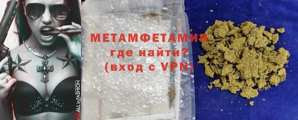 ПСИЛОЦИБИНОВЫЕ ГРИБЫ Дмитриев