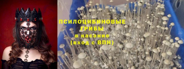 трава Гусь-Хрустальный