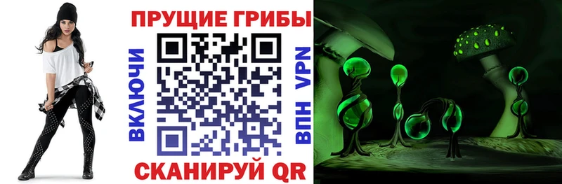 Купить где  Наро-Фоминск  Галлюциногенные грибы прущие грибы 